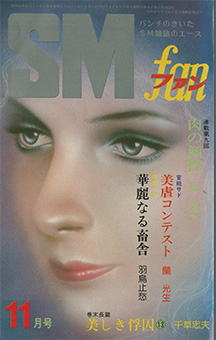 SMfan7811_cover